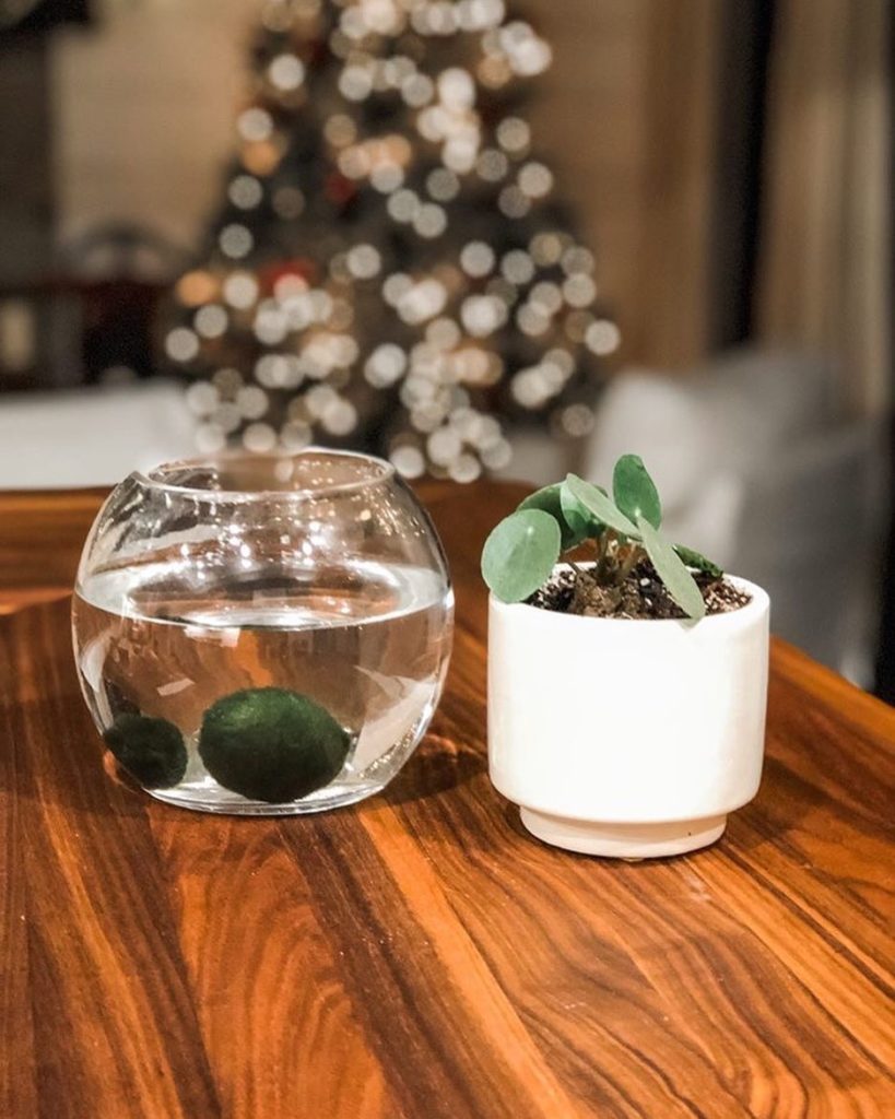 We’re still helping out with last-minute gifts for the holidays!  Our shops will...