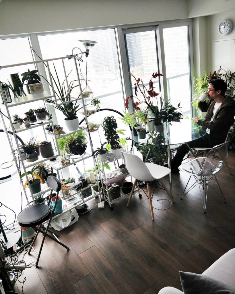houseplantjournal: It’s almost moving day. I’m excited to grow in a new space but I know there will… It's almost moving day. I'm excited to grow in a new space but I know there will...
