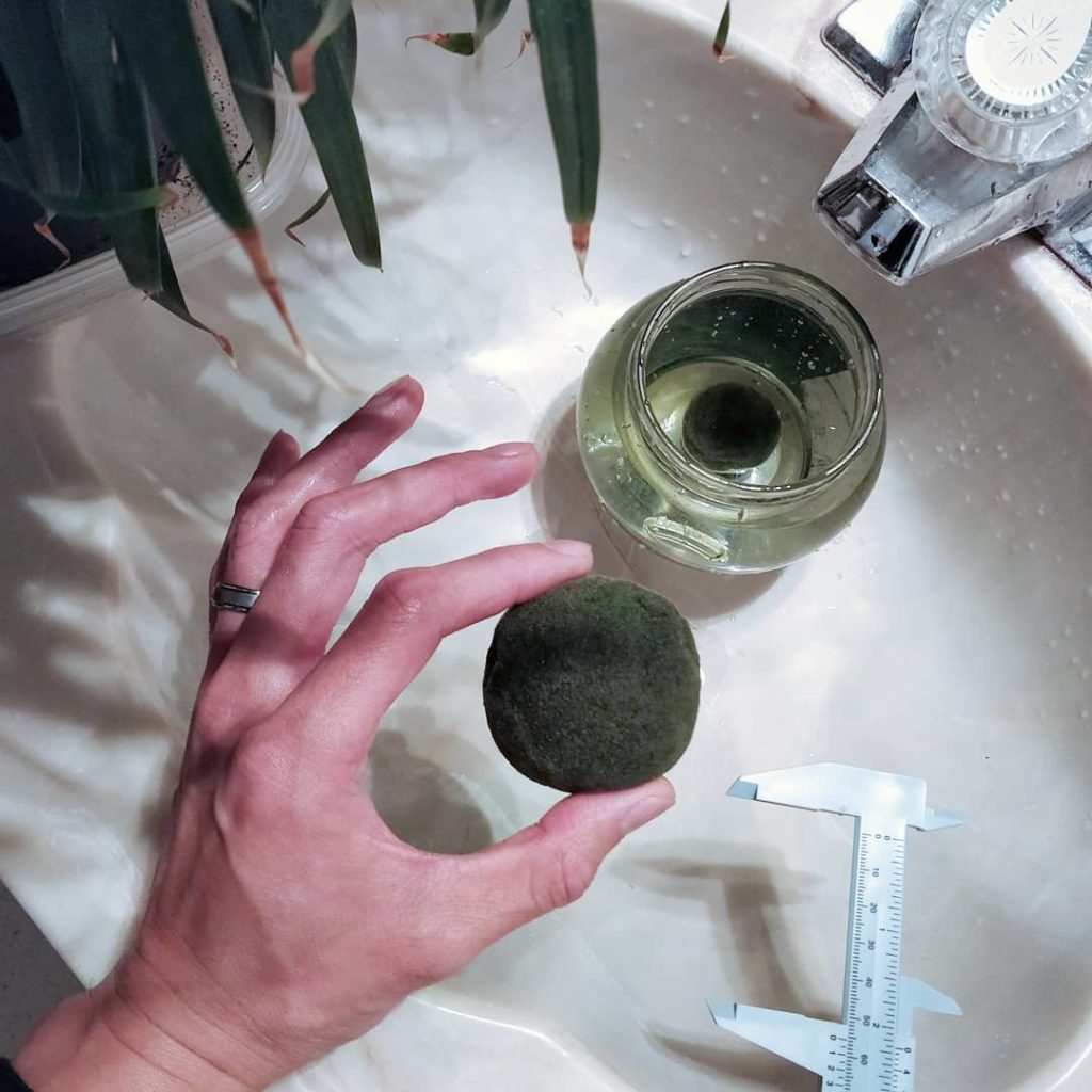 How are your Marimo balls doing?
~
~
#houseplantjournal #houseplants #plants #ma...