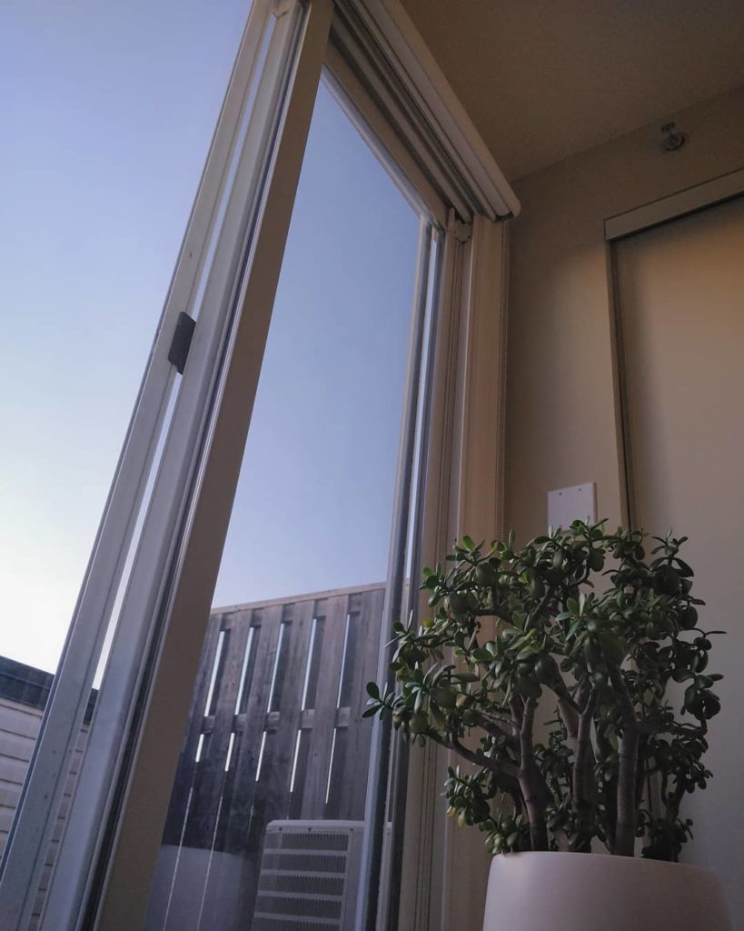 The jade plant at my in-laws: it was grown to this size by the nursery and maint...