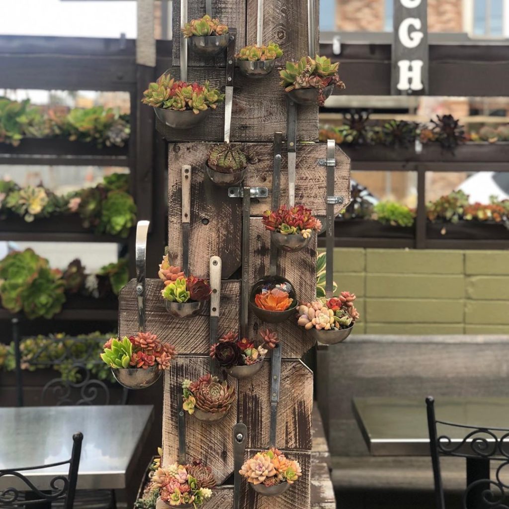 Another happy visit to @succulentcafe_carlsbad 
Thanks Peter!
#carlsbad #oceansi...