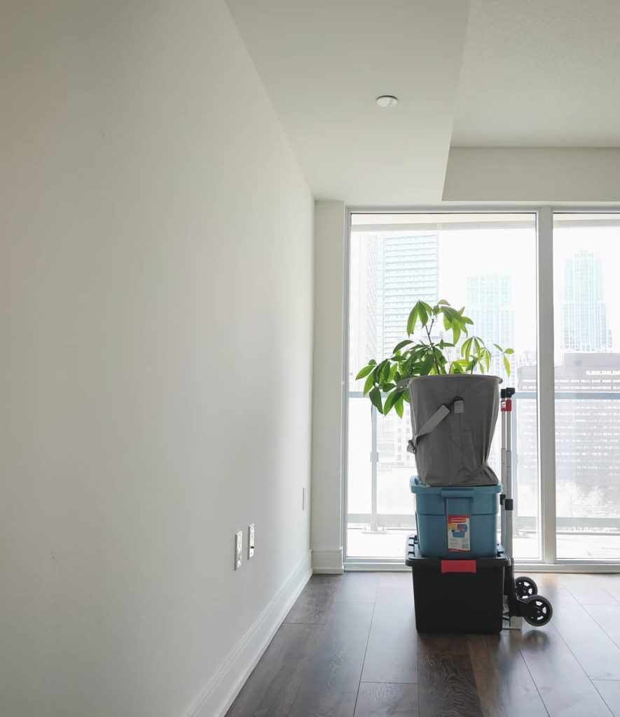houseplantjournal: The last of my plants: packed and ready to move to the new place.
.
I took some … The last of my plants: packed and ready to move to the new place.
.
I took some ...