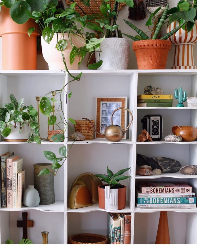 @danaerolynhorst knows how to #shelfie  What are your shelfie must haves? #junga...