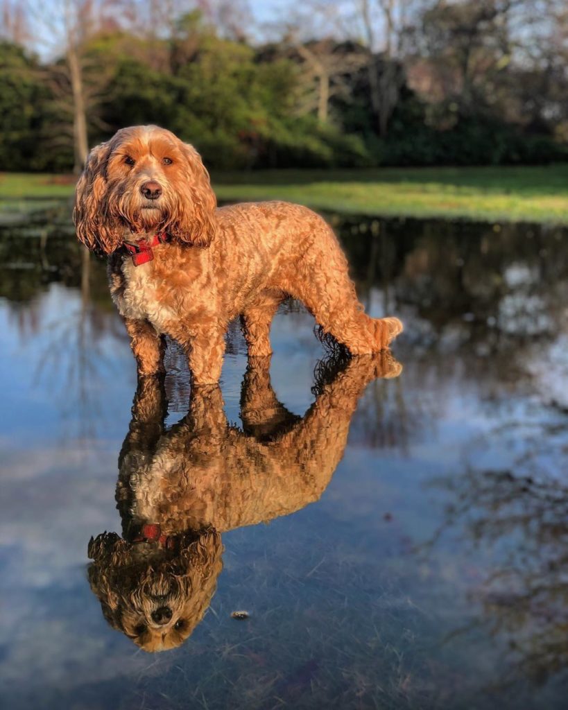 Finally a break from the rain!! Hurrah...