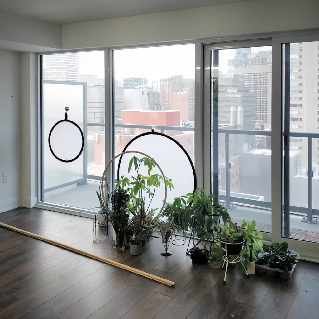 houseplantjournal: Moving day: no, we’re not leaving them behind. The movers just took all the furn… Moving day: no, we're not leaving them behind. The movers just took all the furn...