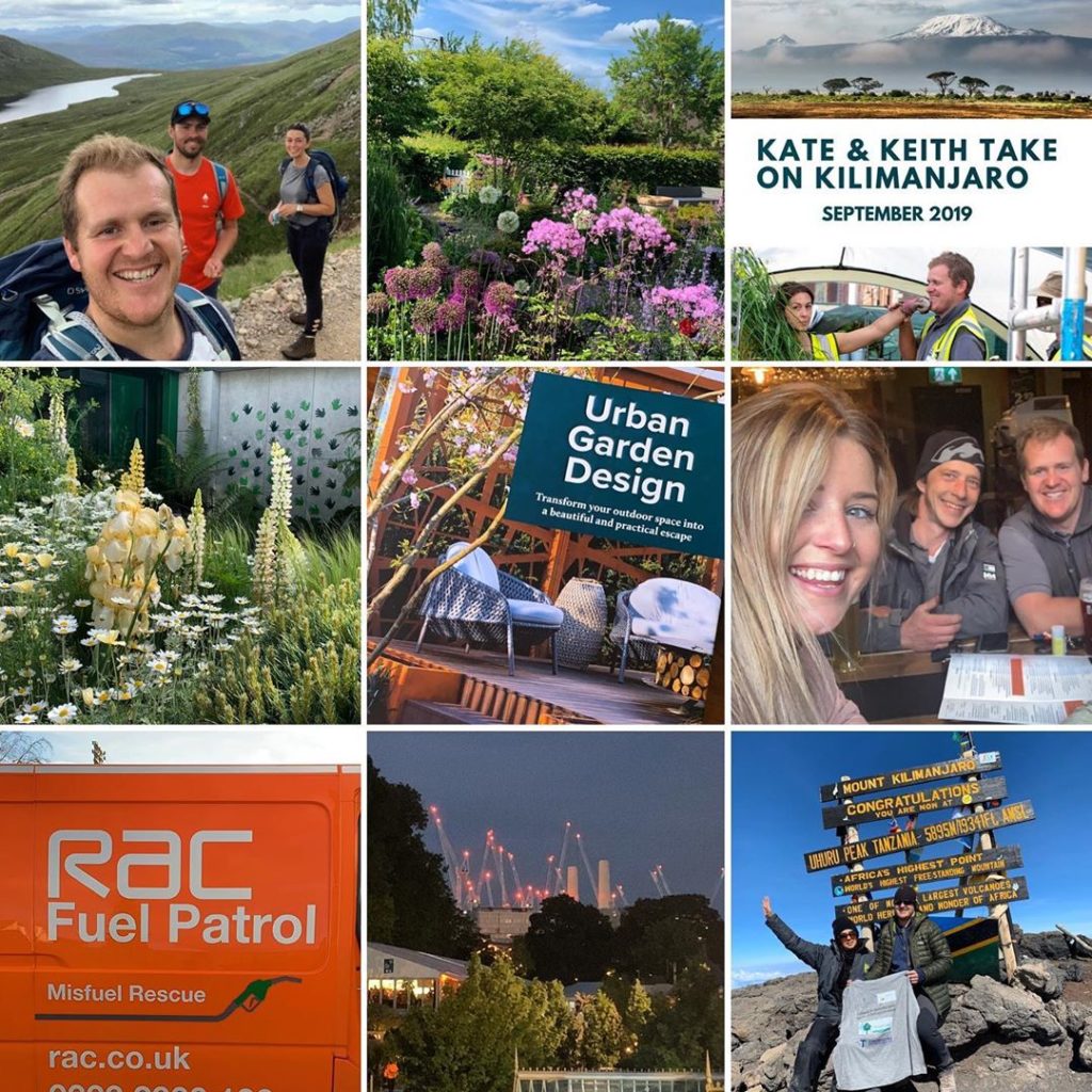 kategouldgardens: A year of ups & downs. The ups thankfully outweighed the downs: A garden with a… A year of ups & downs. The ups thankfully outweighed the downs: A garden with a...