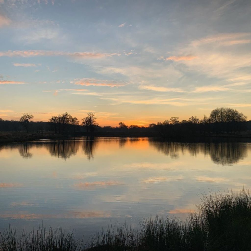 A nice calming photo to end 2019 before the new year celebrations. Roll on 2020!...