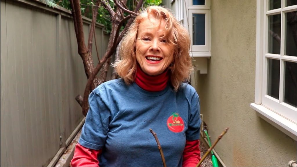 Air Layer Fig Results and December garden surprises! Vlog