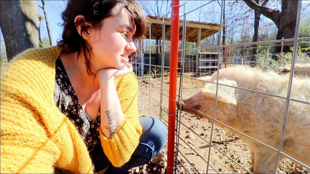 Roots and Refuge Farm: I still think she's pregnant (And When to Start Seeds) | VLOG I still think she's pregnant (And When to Start Seeds) | VLOG