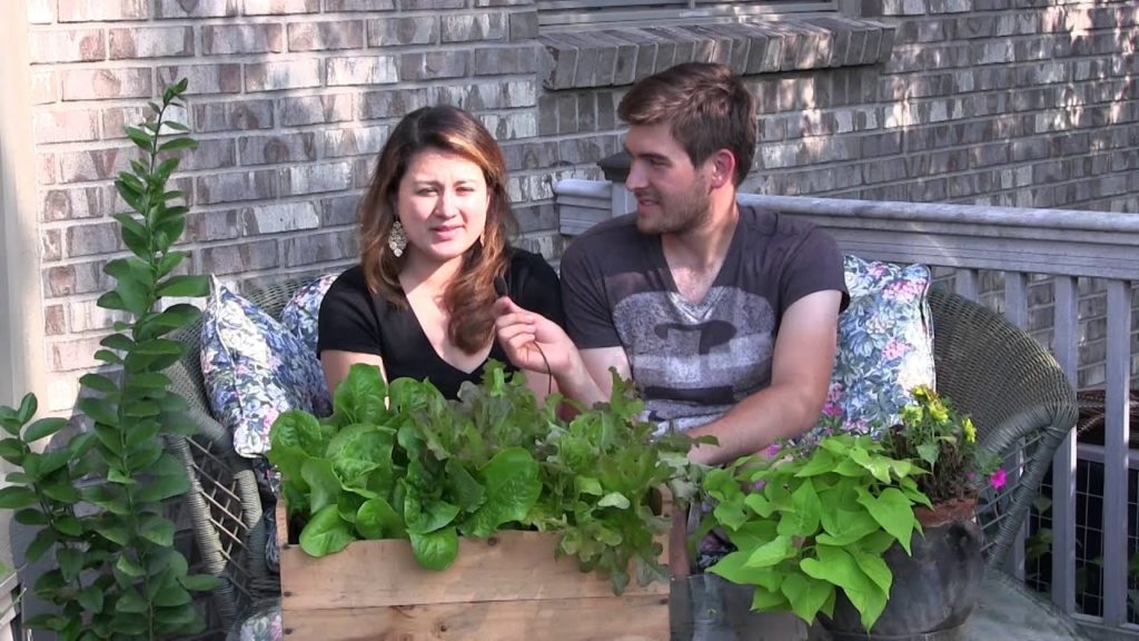 MIgardener: Get to Know Mr. & Mrs. MIgardener (GAME) Get to Know Mr. & Mrs. MIgardener (GAME)