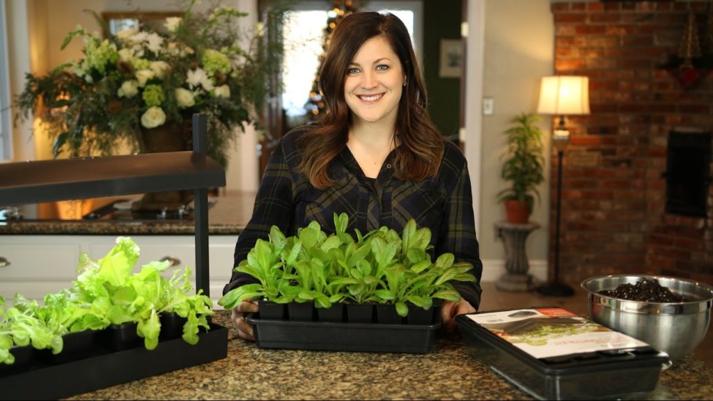 Self Watering Seed Starter Kit // Garden Answer