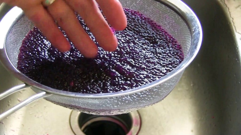 What Happens When 3 Million Dragon Fruit Seeds Are Combined is AMAZING!