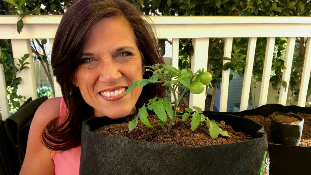 CaliKim: 🍅 LIVE: Small Space Garden Tips and GIVEAWAY Drawing (REPLAY) 🍅 LIVE: Small Space Garden Tips and GIVEAWAY Drawing (REPLAY)