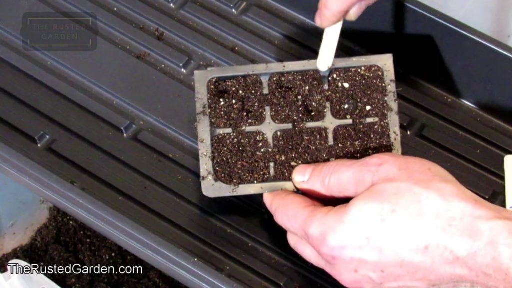 Gary Pilarchik: In 60 Seconds or Sow: Preparing Seed Starting Cells to Start Any Seed & Starting Tomatoes Indoors In 60 Seconds or Sow: Preparing Seed Starting Cells to Start Any Seed & Starting Tomatoes Indoors