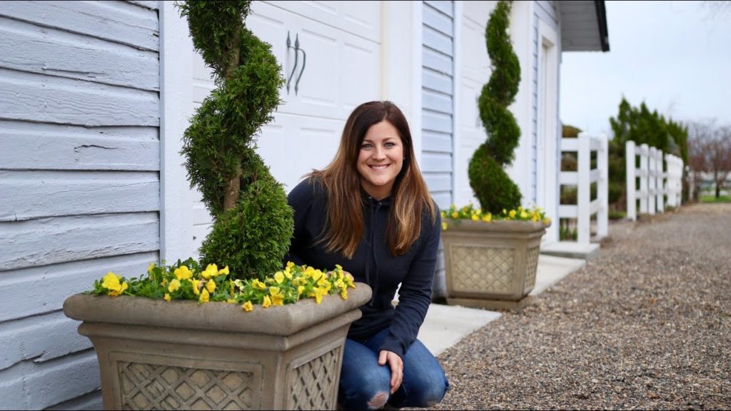 Garden Answer: Spirals and Pansiolas // Garden Answer Spirals and Pansiolas // Garden Answer