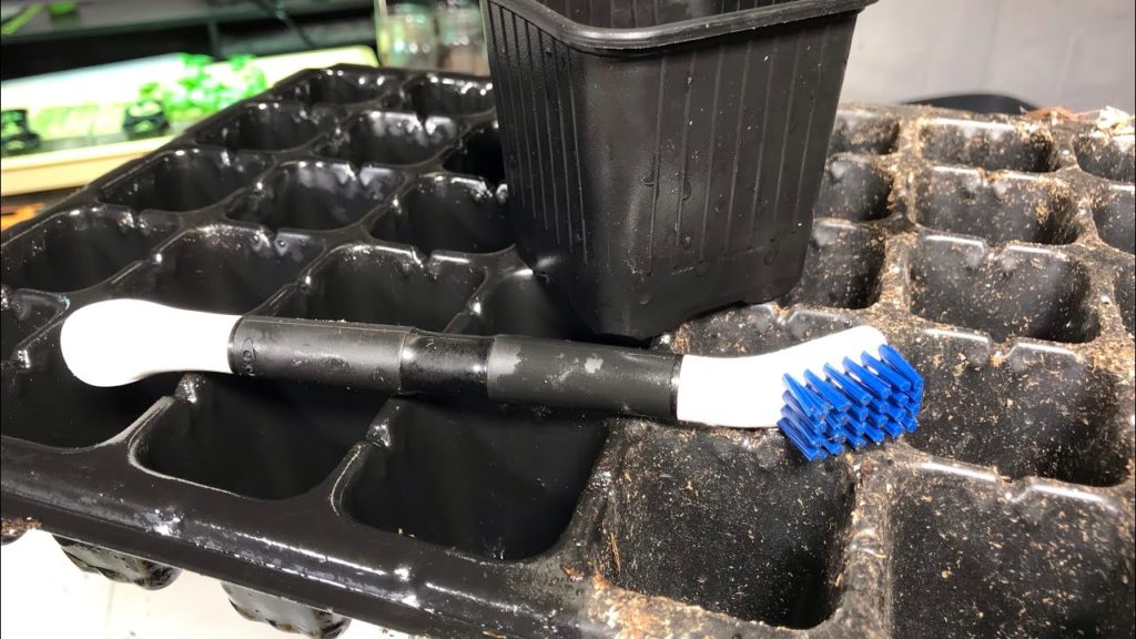 Don’t Make This Mistake! How to Clean & Sterilize Re-used Pots and Containers