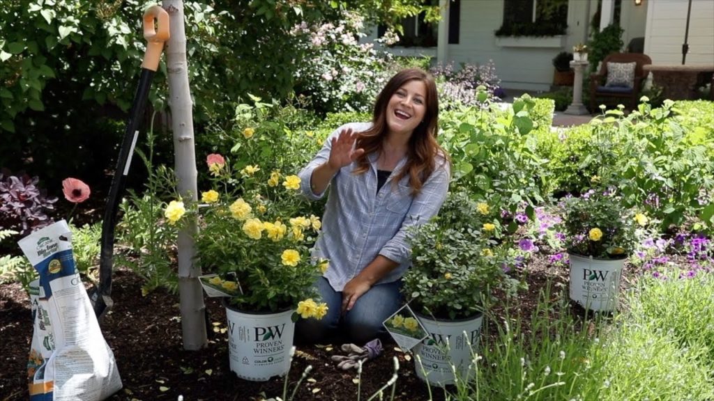 Garden Answer: Planting Some Roses in my Garden! 🌿// Garden Answer Planting Some Roses in my Garden! 🌿// Garden Answer