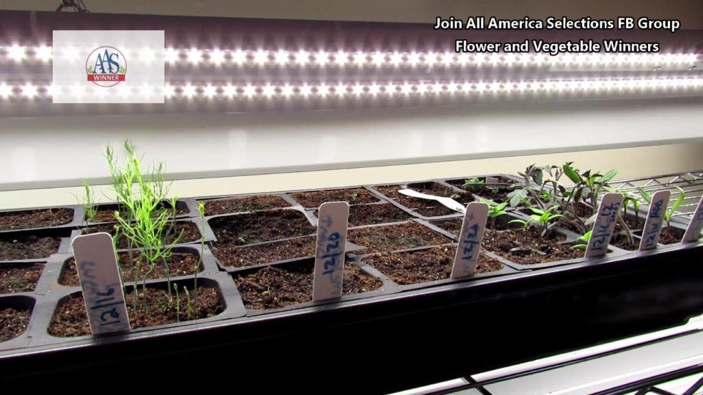An Overview on What You Need to Start Seeds Indoors: Light Ratings, Shelving, Containers & More!