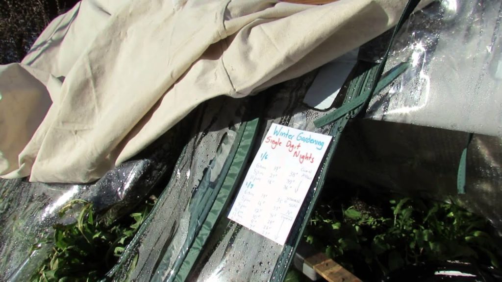 Gary Pilarchik: Covering a Pop-Up Greenhouse with Painter's Canvas/Blanket: An 8-10 Degree Difference – TRG 2015 Covering a Pop-Up Greenhouse with Painter's Canvas/Blanket: An 8-10 Degree Difference - TRG 2015