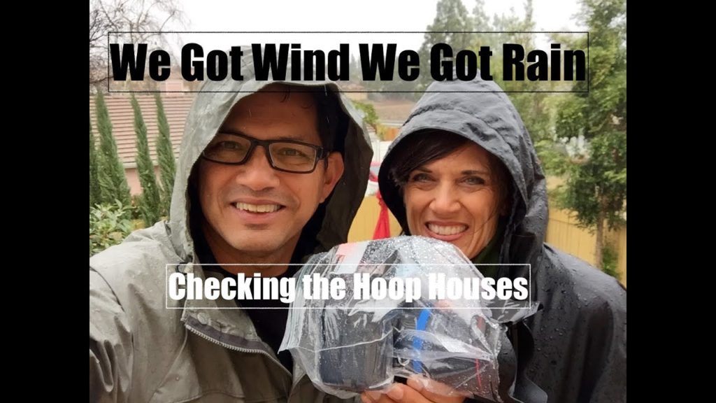 We Got WIND We got RAIN - Checking the Hoop Houses