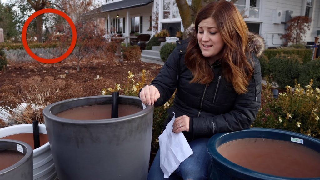 Who was that Walking in the Background? Where Can I Request a Video? 🌿// Garden Answer