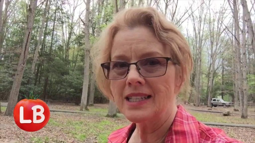 To Parts East | Road Trip - Hungry Mother State Park, Virginia | Kaye's Vlog