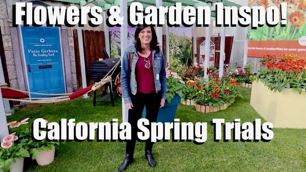 CaliKim: Beautiful Flowers & Garden Inspiration at the California Spring Trials! 🌺🌼 Beautiful Flowers & Garden Inspiration at the California Spring Trials! 🌺🌼