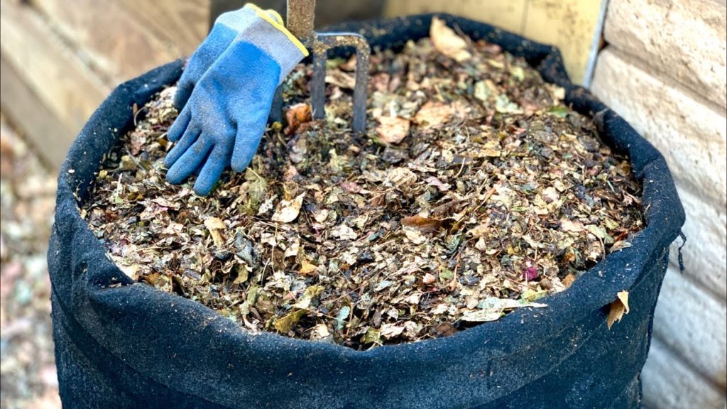 🍅 LIVE: Ask Me About Composting!