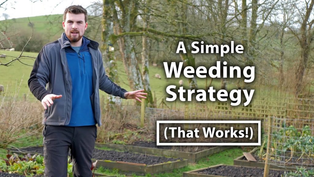 Huw Richards: Why Your Garden is Full of Weeds (And How to BEST Control Them) | Grow Food For Free Series Ep1 Why Your Garden is Full of Weeds (And How to BEST Control Them) | Grow Food For Free Series Ep1