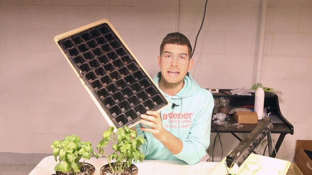 MIgardener: Biggest Mistakes Made When Starting Seeds Indoors Biggest Mistakes Made When Starting Seeds Indoors