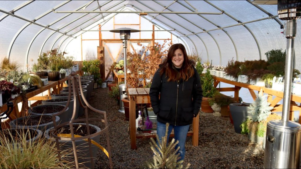 Garden Answer: Winter Greenhouse Tour! ❄️🌿// Garden Answer Winter Greenhouse Tour! ❄️🌿// Garden Answer
