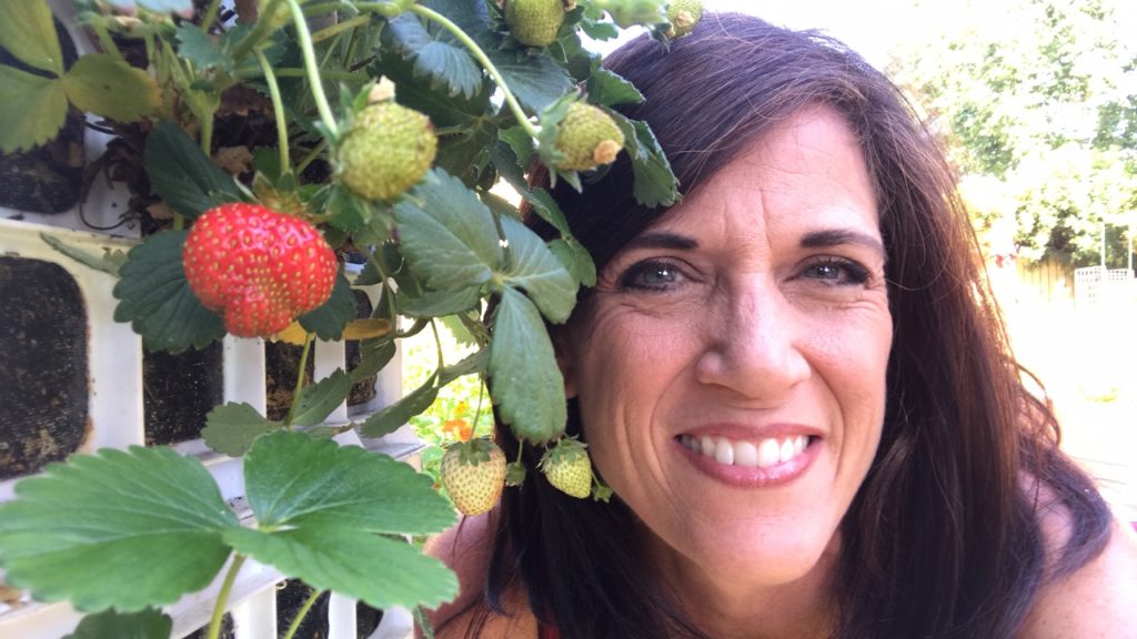 CaliKim: 🍅LIVE: Strawberry Crate Tower Tips – Grow More Strawberries (replay) 🍅LIVE: Strawberry Crate Tower Tips - Grow More Strawberries (replay)