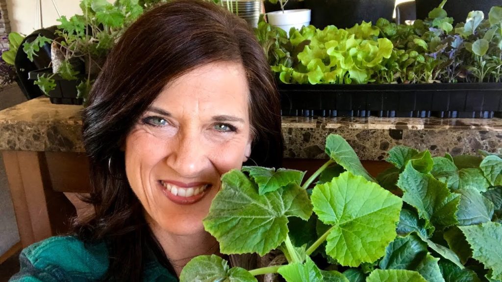🍅 LIVE: Growing Indoor Veggie Seedlings:  Your Most Common Questions Answered! (Replay)