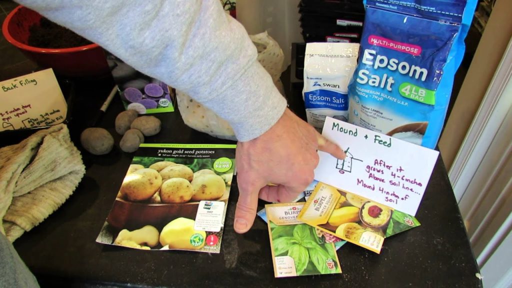 Gary Pilarchik: Growing Potatoes the Trench Method: Digging, Feeding, Planting & Back-Filling – TRG 2015 Growing Potatoes the Trench Method: Digging, Feeding, Planting & Back-Filling - TRG 2015