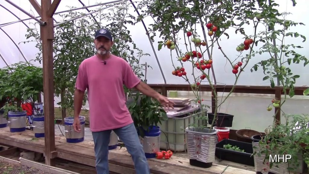 Growing Tomatoes in a Trashcan - Dutch Bucket Hydroponics