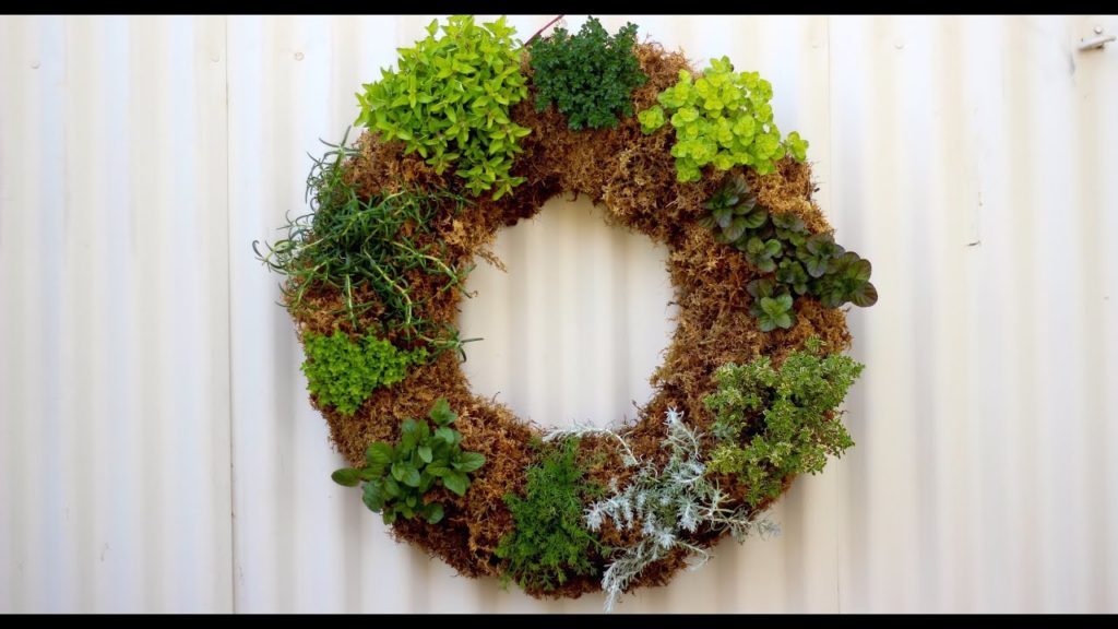 Garden Answer: How to make an Herb Wreath How to make an Herb Wreath