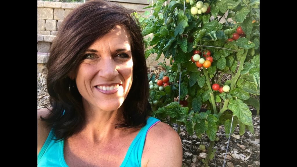 CaliKim: 🍅LIVE: Growing Lots of Tomatoes in the Summer Heat – Q & A (REPLAY) 🍅LIVE: Growing Lots of Tomatoes in the Summer Heat - Q & A (REPLAY)