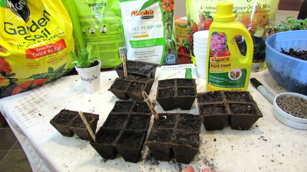 Gary Pilarchik: Fertilizers in Seed Starting Mixes Can Feed Mold and Fungus: Examples & Principles – TRG2016 Fertilizers in Seed Starting Mixes Can Feed Mold and Fungus: Examples & Principles - TRG2016