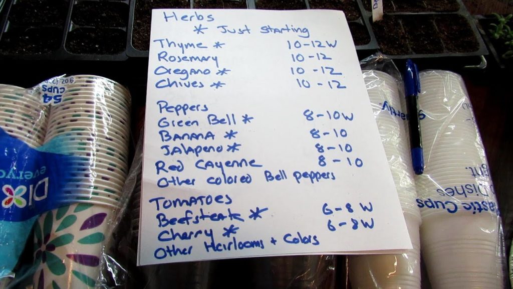 Gary Pilarchik: How I Made $1000 Selling Vegetable Plants: Best Plants, When to Plant, Where & When to Sell & More How I Made $1000 Selling Vegetable Plants: Best Plants, When to Plant, Where & When to Sell & More