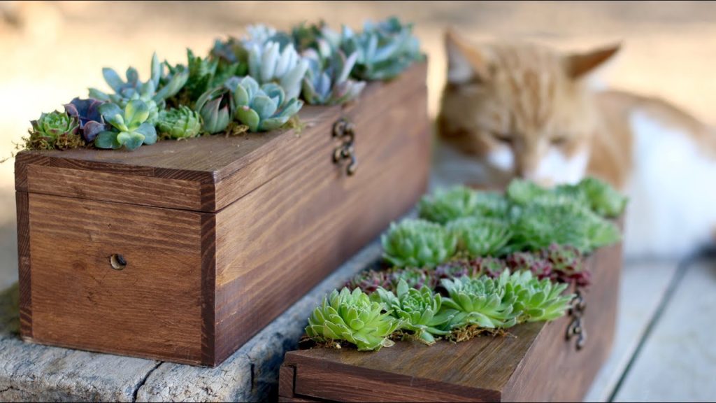 Garden Answer: Wine Box Turned Succulent Planter Wine Box Turned Succulent Planter