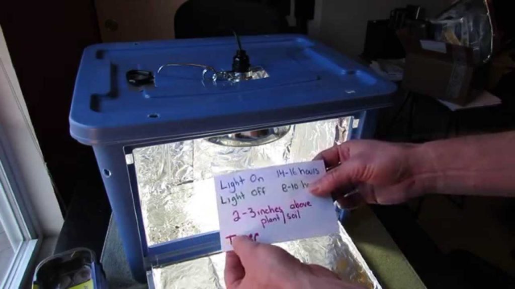Seed Starting Grow Light Box Designs: One for Germination & One for Bigger Transplants - TRG 2015