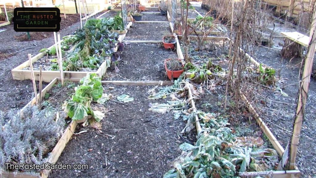 8 Garden Bed Designs to Help You Get Started or Expand Your Garden: Earth, Containers, Raised Beds
