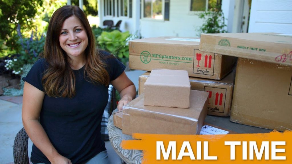 Garden Answer: Mail Time | Low Bowls | Pro Plugger | Drill Till // Garden Answer Mail Time | Low Bowls | Pro Plugger | Drill Till // Garden Answer