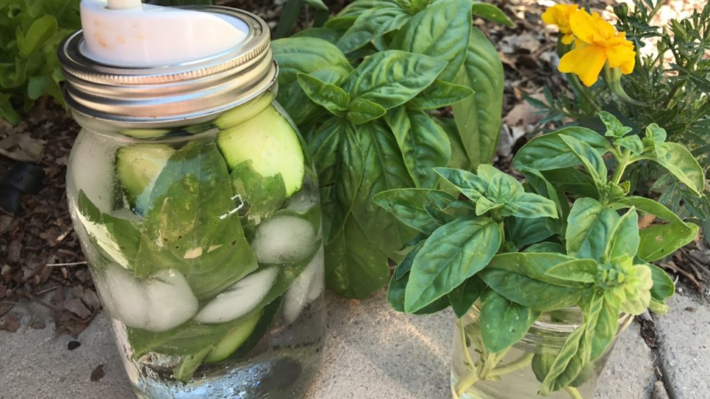 CaliKim: 🍅LIVE: Basil Tips – Prune and Propagate for an Endless Supply (replay) 🍅LIVE: Basil Tips - Prune and Propagate for an Endless Supply (replay)