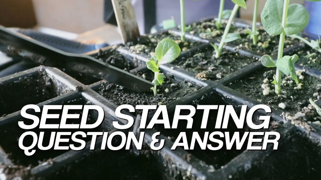 Answering 18 of Your Seed Starting Questions!