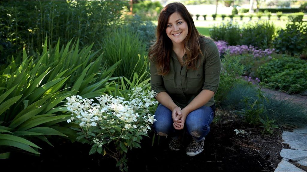 Planting a Hydrangea // Garden Answer