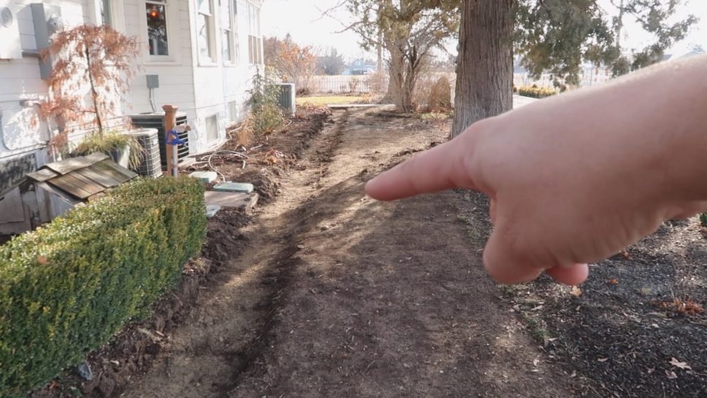 Garden Answer: Planting Hyacinth Bulbs & Project Updates! 💚😊// Garden Answer Planting Hyacinth Bulbs & Project Updates! 💚😊// Garden Answer