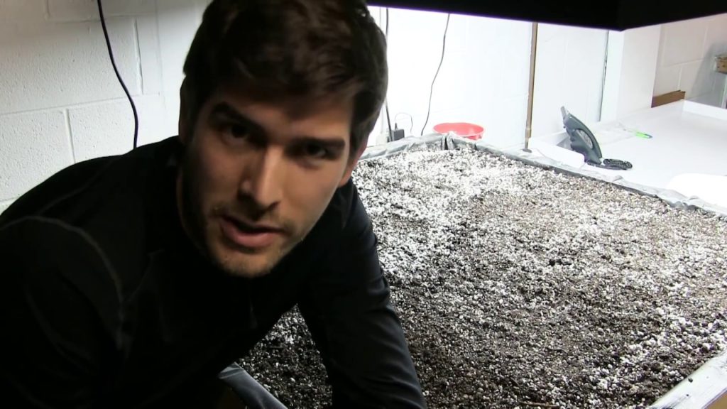 Planting Out The Indoor Garden & Talking About Grow lights and Proper Soil