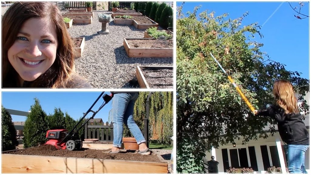 Veggie Garden Cleanup, Planting Garlic, & Fireblight in My Crabapple 🌿👩‍🌾// Garden Answer