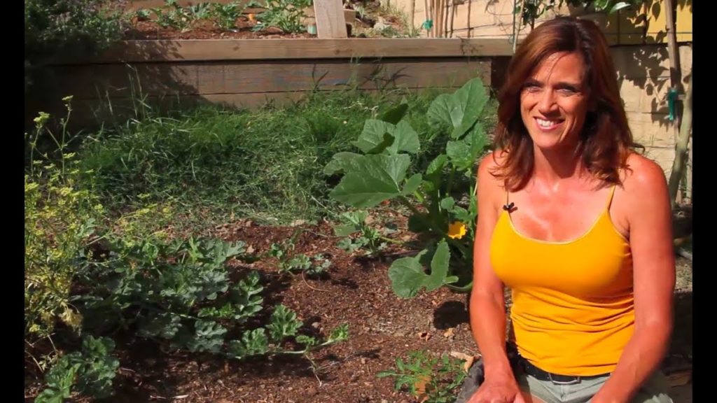 CaliKim: How to Grow Watermelon E03 Update 1.5 Month Watermelon-Viewer Input Needed How to Grow Watermelon E03 Update 1.5 Month Watermelon-Viewer Input Needed